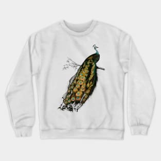 Vintage indian peafowl bird-animalia clothing Crewneck Sweatshirt